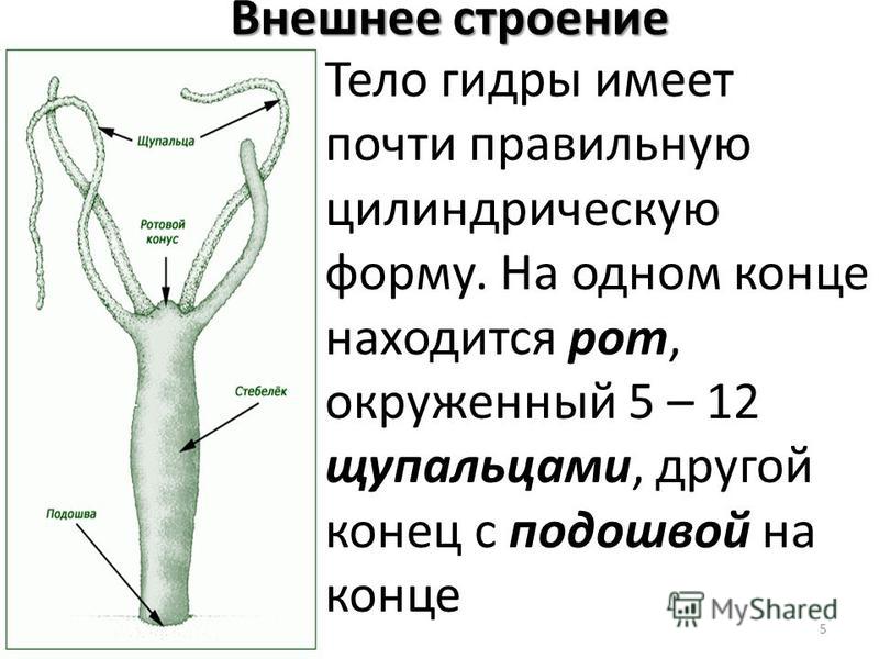 Kra13.at